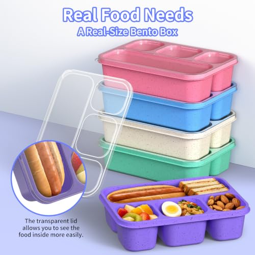 5-Pack Four-Compartment Wheat Straw Bento Boxes