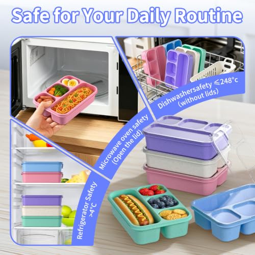 5-Pack Four-Compartment Wheat Straw Bento Boxes