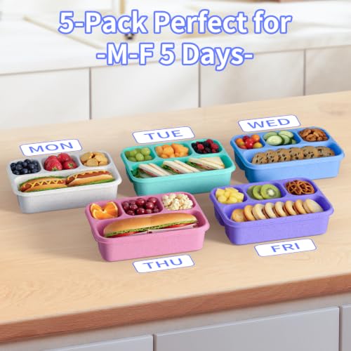 5-Pack Four-Compartment Wheat Straw Bento Boxes