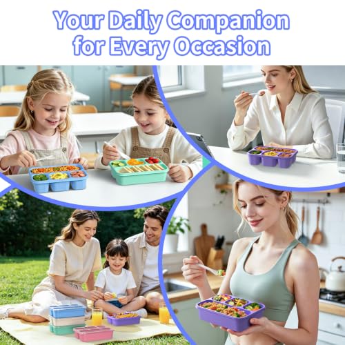 5-Pack Four-Compartment Wheat Straw Bento Boxes